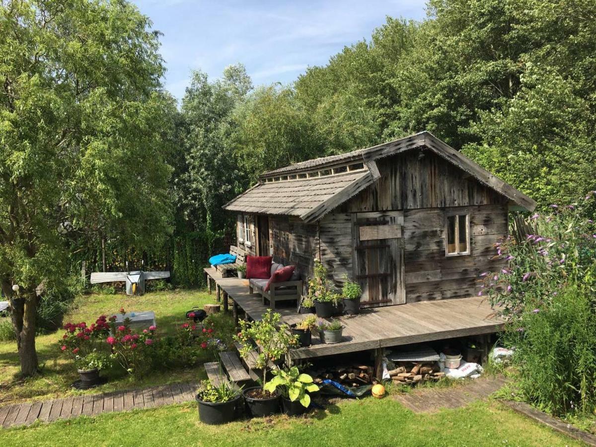 Cabin In The Green - Near Amsterdam Velsen-Zuid Luaran gambar
