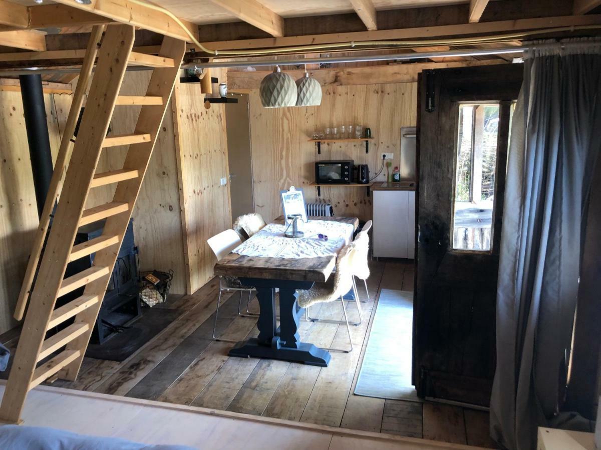 Cabin In The Green - Near Amsterdam Velsen-Zuid Luaran gambar